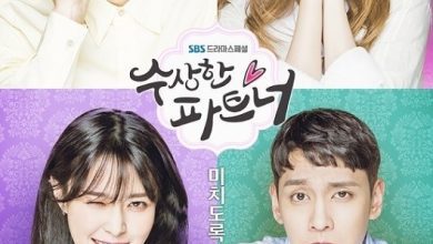 Download Drama Korea Suspicious Partner Subtitle Indonesia