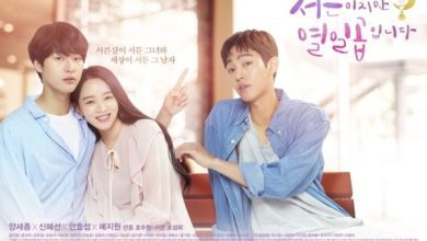 Download Drama Korea Thirty But Seventeen Subtitle Indonesia