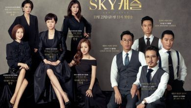 Download Drama Korea SKY Castle Subtitle Indonesia