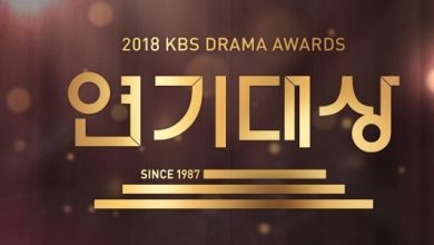Download KBS Drama Awards 2018 Subtitle Indonesia