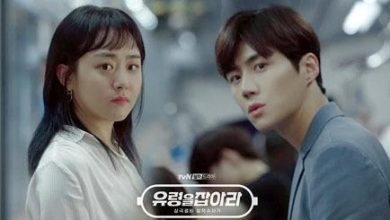 Download Drama Korea Catch The Ghost Subtitle Indonesia