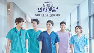 Download Drama Korea Hospital Playlist Subtitle Indonesia