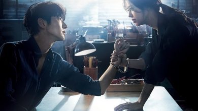 Download Drama Korea Flower of Evil Subtitle Indonesia