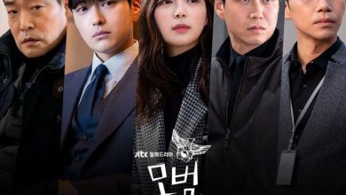 Download Drama Korea The Good Detective Subtitle Indonesia