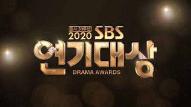 Download SBS Drama Awards 2020 Subtitle Indonesia