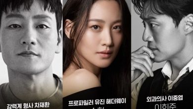 Download Drama Korea Chimera Subtitle Indonesia