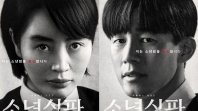 Download Drama Korea Juvenile Justice Subtitle Indonesia