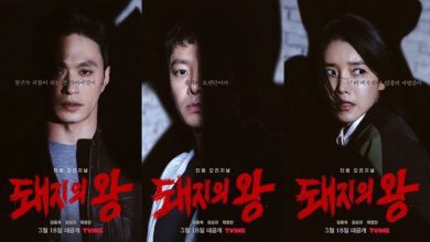 Download Drama Korea The King of Pigs Subtitle Indonesia