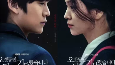 Download Drama Korea Longing for You Subtitle Indonesia