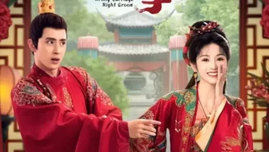 Download Drama China Wrong Carriage Right Groom Subtitle Indonesia