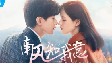 Download Drama China South Wind Knows Subtitle Indonesia