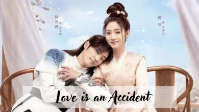 Download Love Is an Accident Subtitle Indonesia