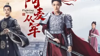 Download Drama China Fighting for Love (2024) Subtitle Indonesia