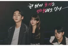 Download Drama Korea Under the Gun Subtitle Indonesia