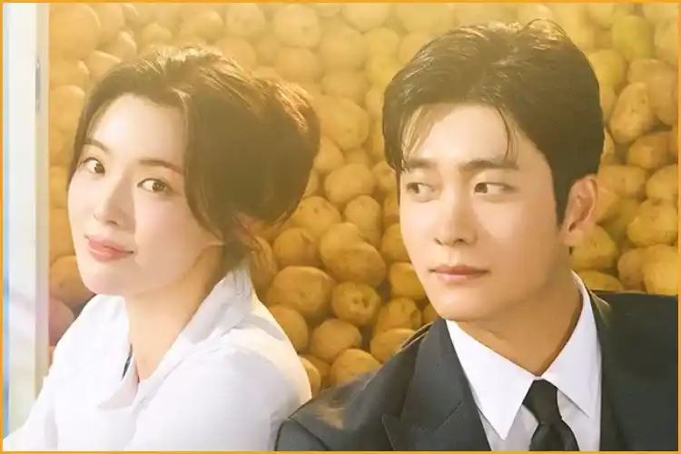 Download Drama Korea The Potato Lab Subtitle Indonesia