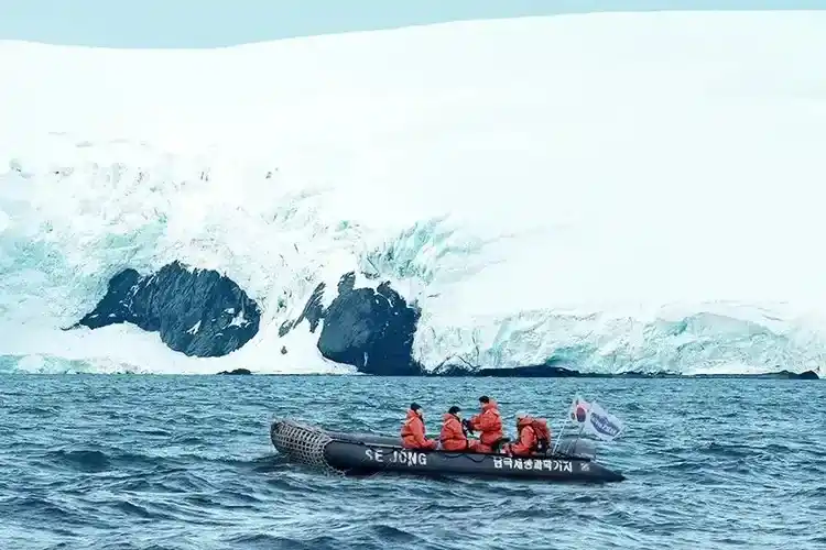 Chef of Antarctica Subtitle Indonesia